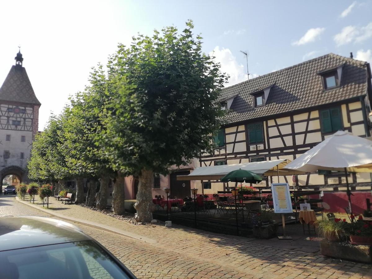 Gites Aux Fines Bulles D'Alsace Spa Privatif En Supplement Bergheim Luaran gambar
