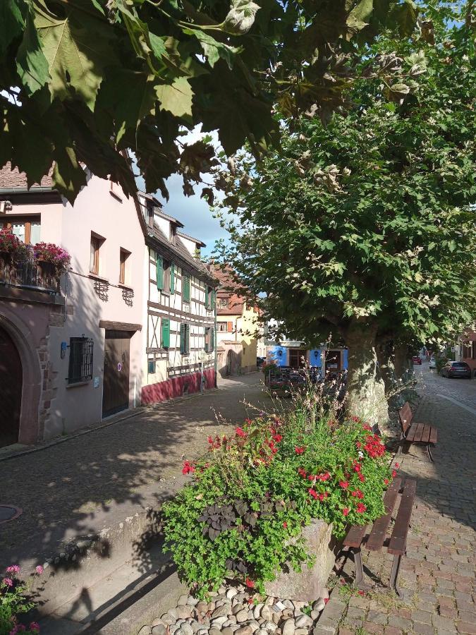 Gites Aux Fines Bulles D'Alsace Spa Privatif En Supplement Bergheim Luaran gambar